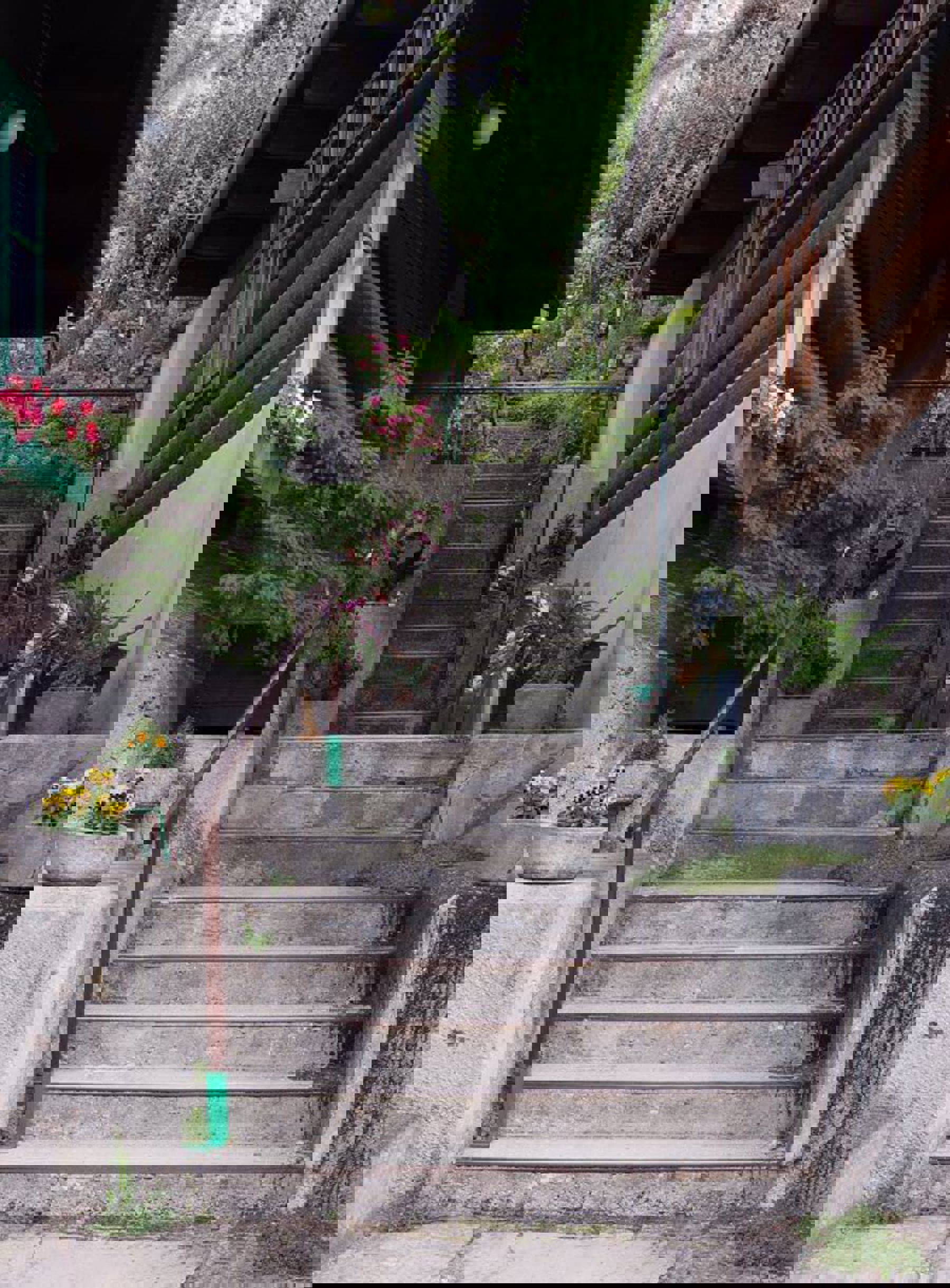 Obrázek /media/qirnqnhj/dsc_1971.jpg