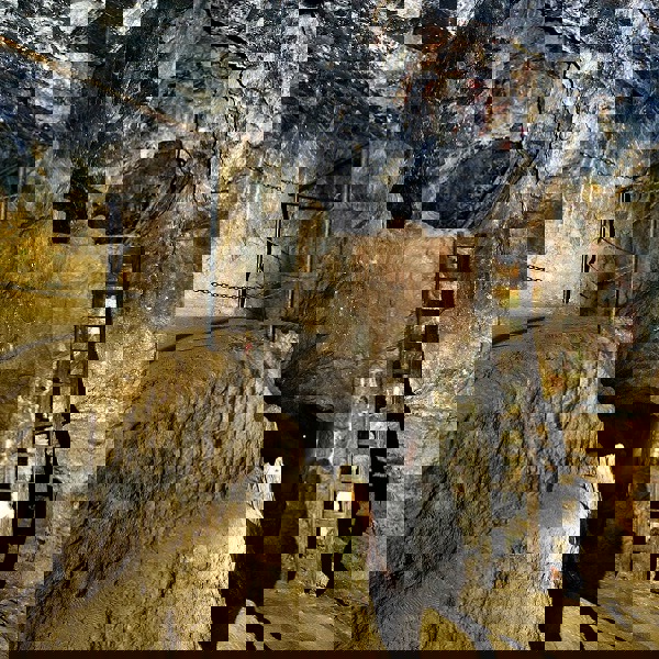 Obrázek /media/qj4n0vmo/jeronym_32.jpg