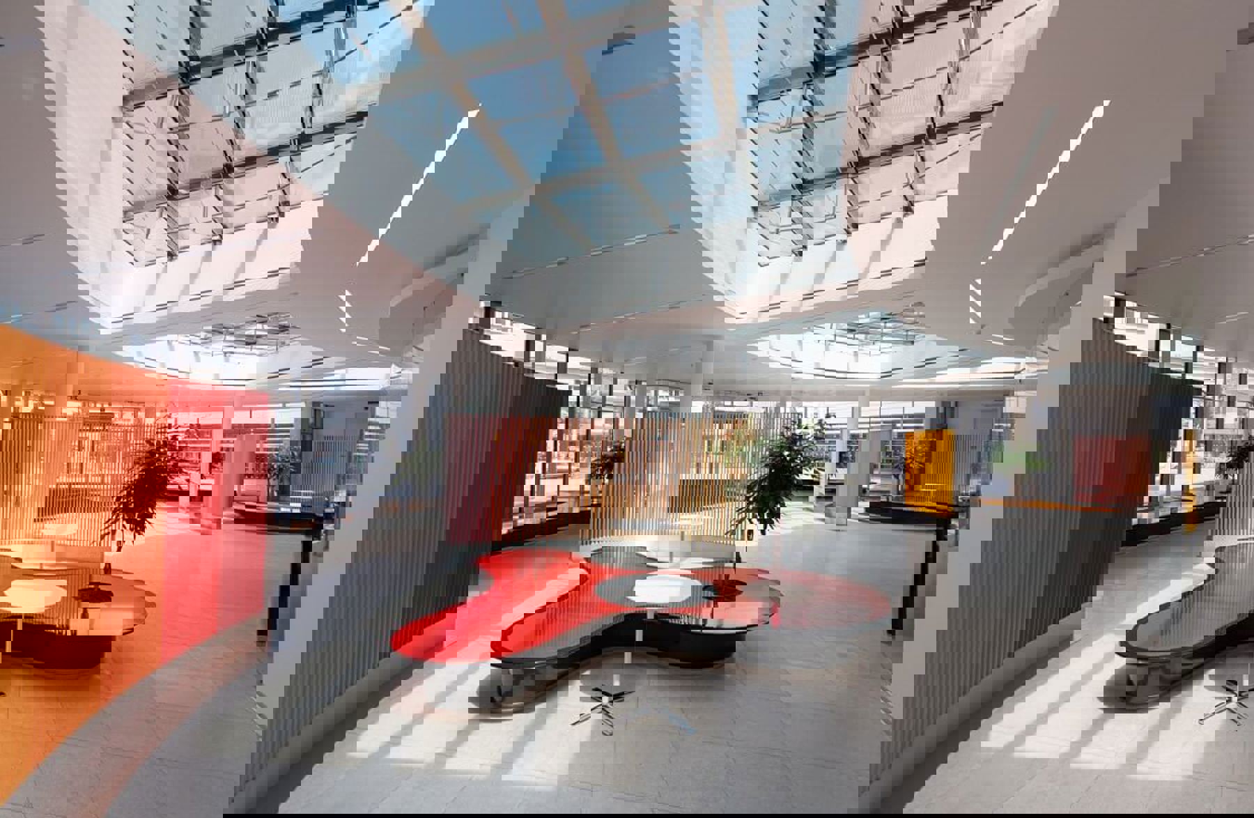 Image /media/qkyf1fko/dsc_0580.jpg