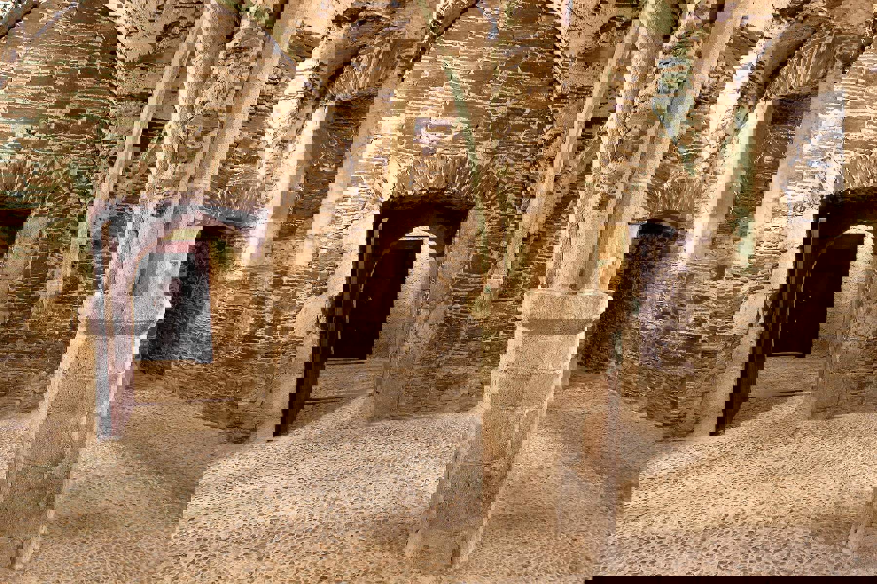 Image /media/qojh1e3j/b01-251.jpg