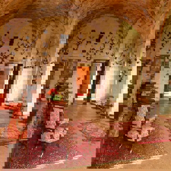 Image /media/qozbfqya/44.jpg