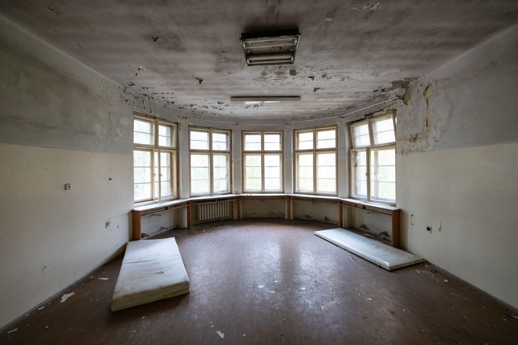 Image /media/qq1b3lkm/_dsc2718.jpg