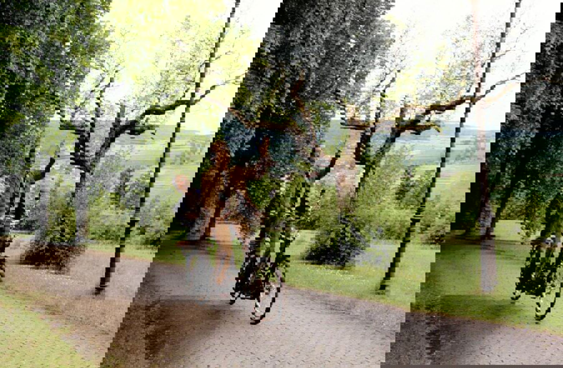 Image /media/qu5if0zq/42.jpg