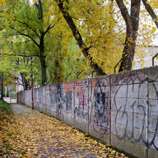 Image /media/r0ml41cq/dsc_4991.jpg