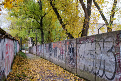 Image /media/r0ml41cq/dsc_4991.jpg