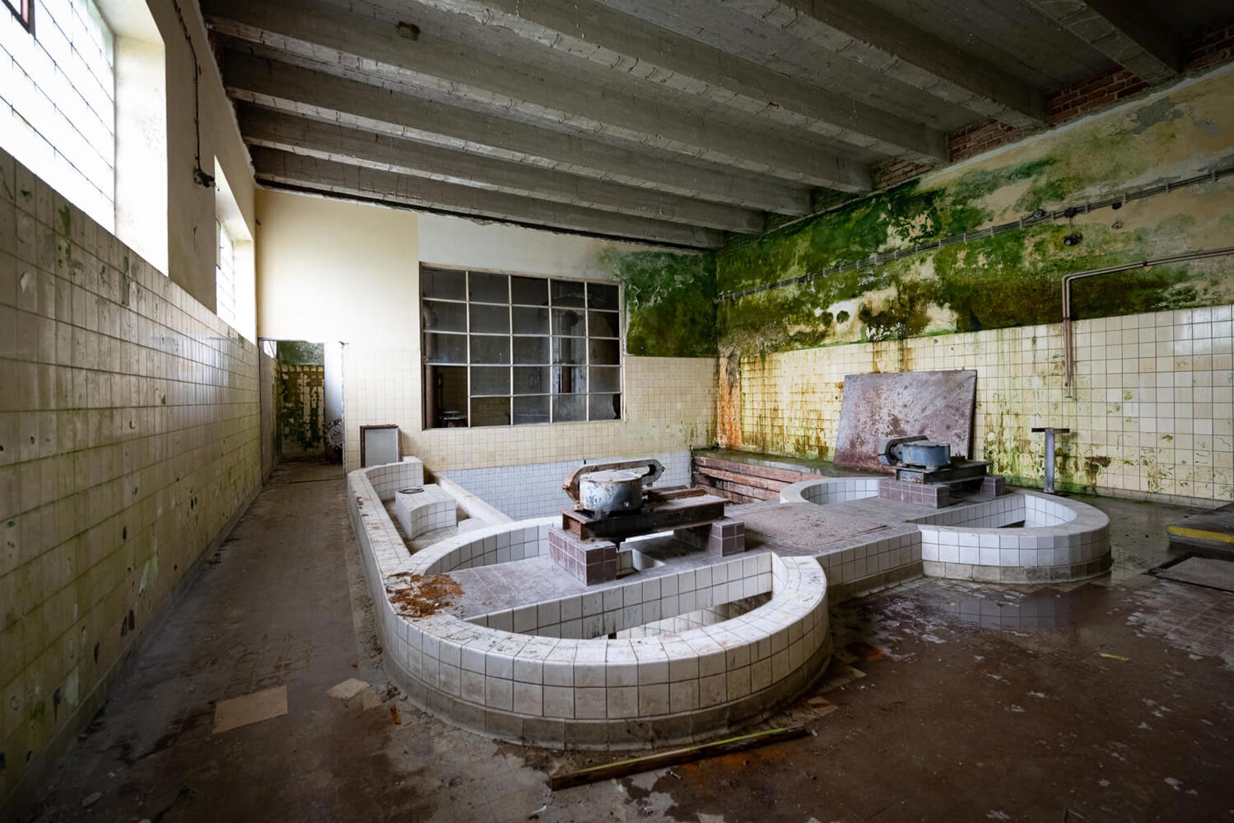 Image /media/r2jfuzxl/dsc0736.jpg