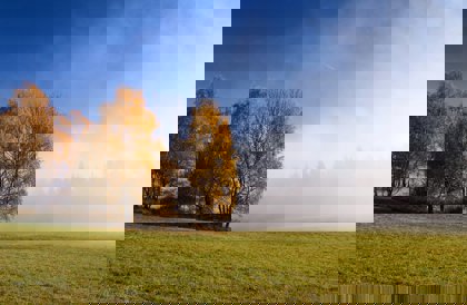 Image /media/r4tfug0c/priroda13.jpg