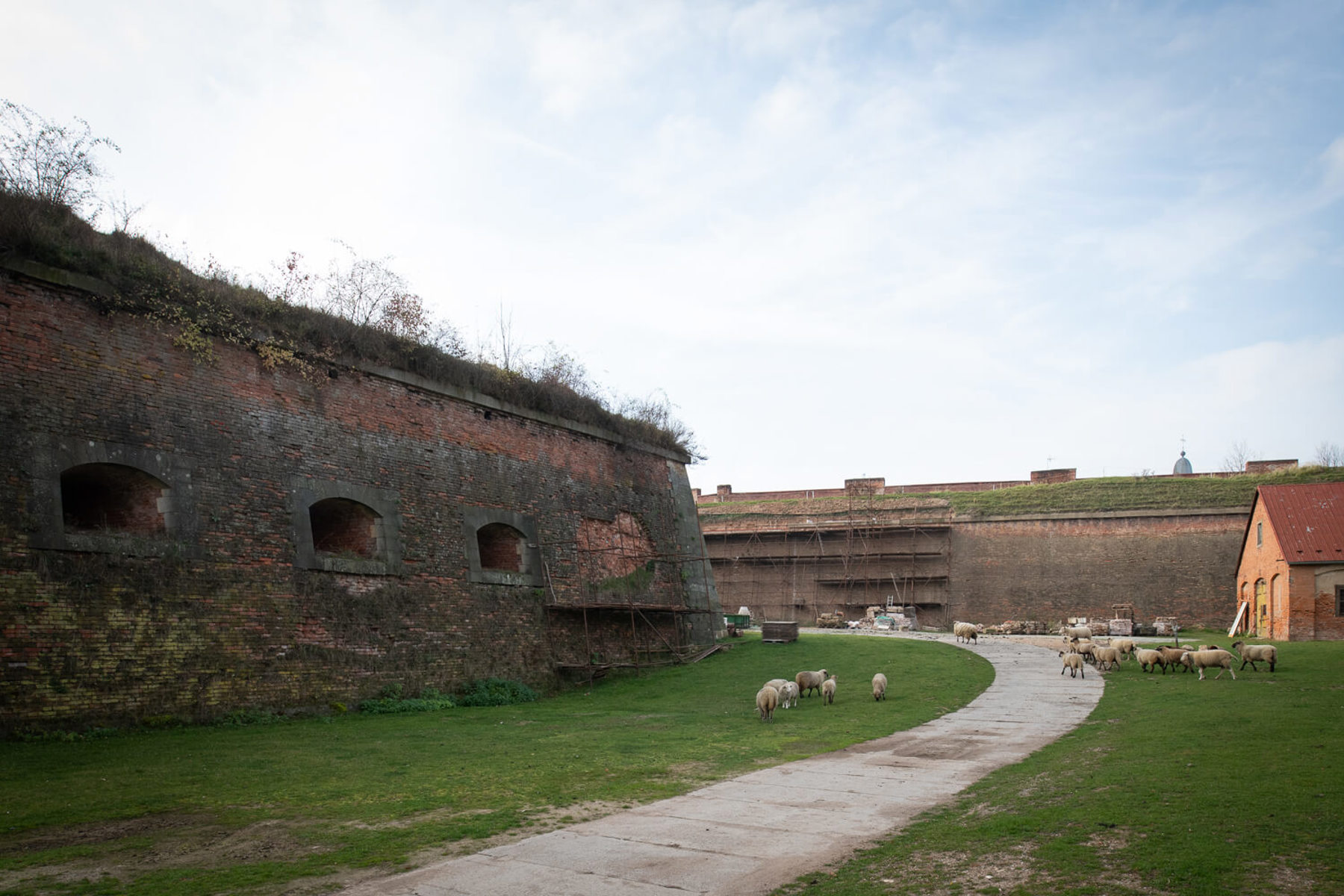 Image /media/re0b5hti/_dsc0816.jpg