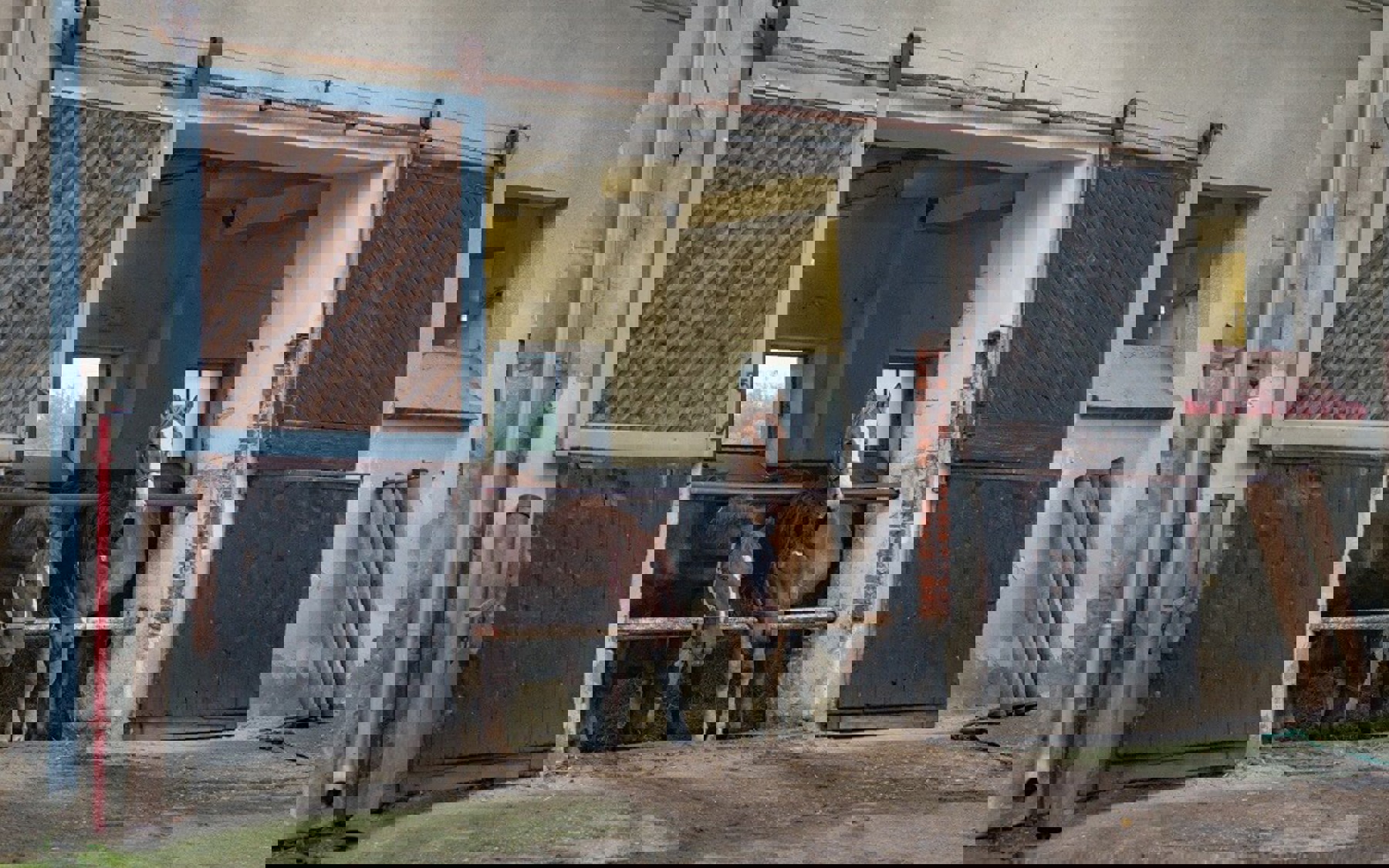 Image /media/rgdcxcqg/staje_4.jpg