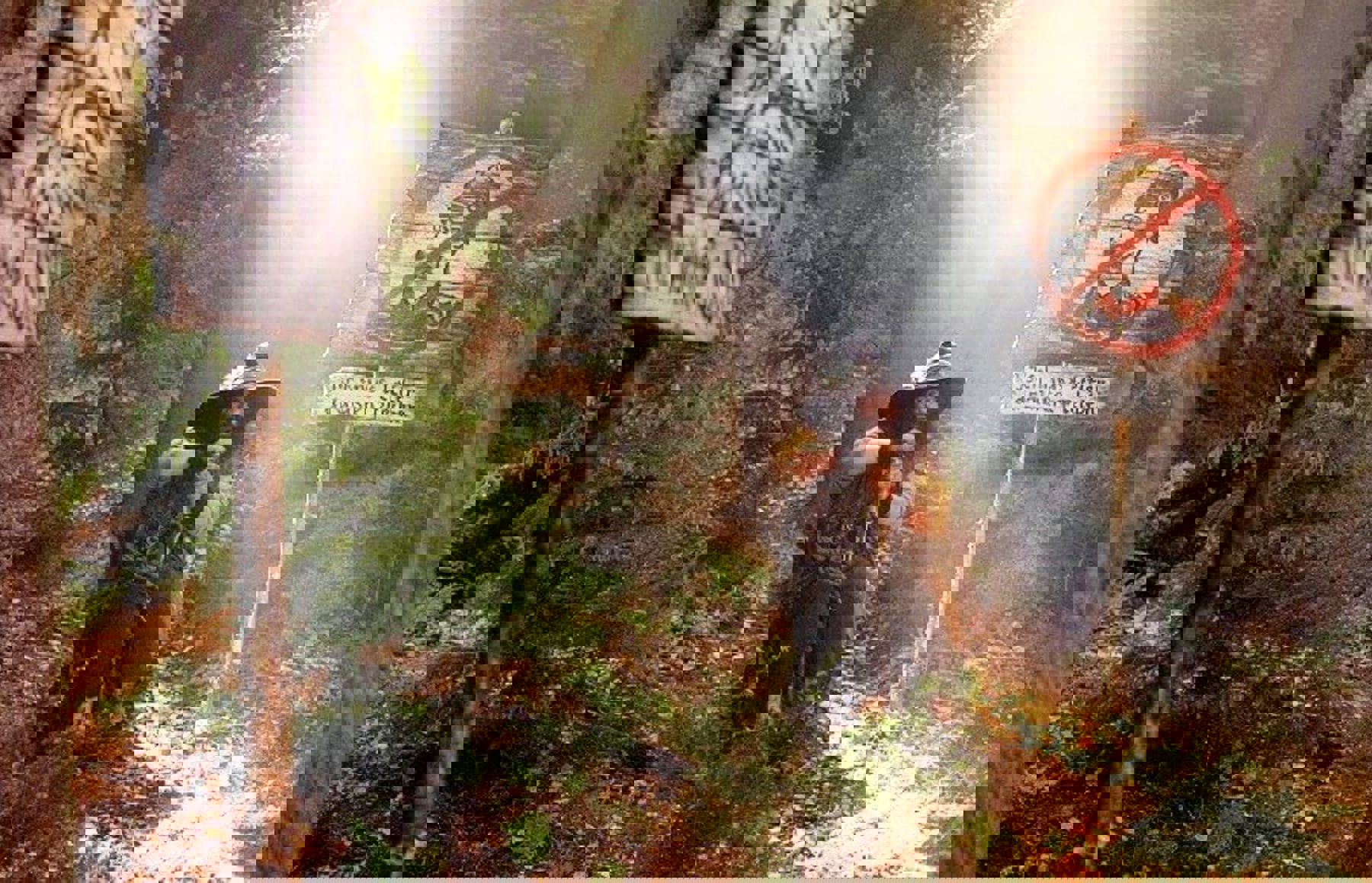 Image /media/rkjiu0tc/11.jpg