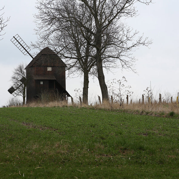 Image /media/rm3b0e01/rymice_607c2655.jpg