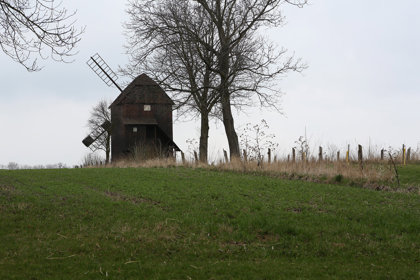 Image /media/rm3b0e01/rymice_607c2655.jpg