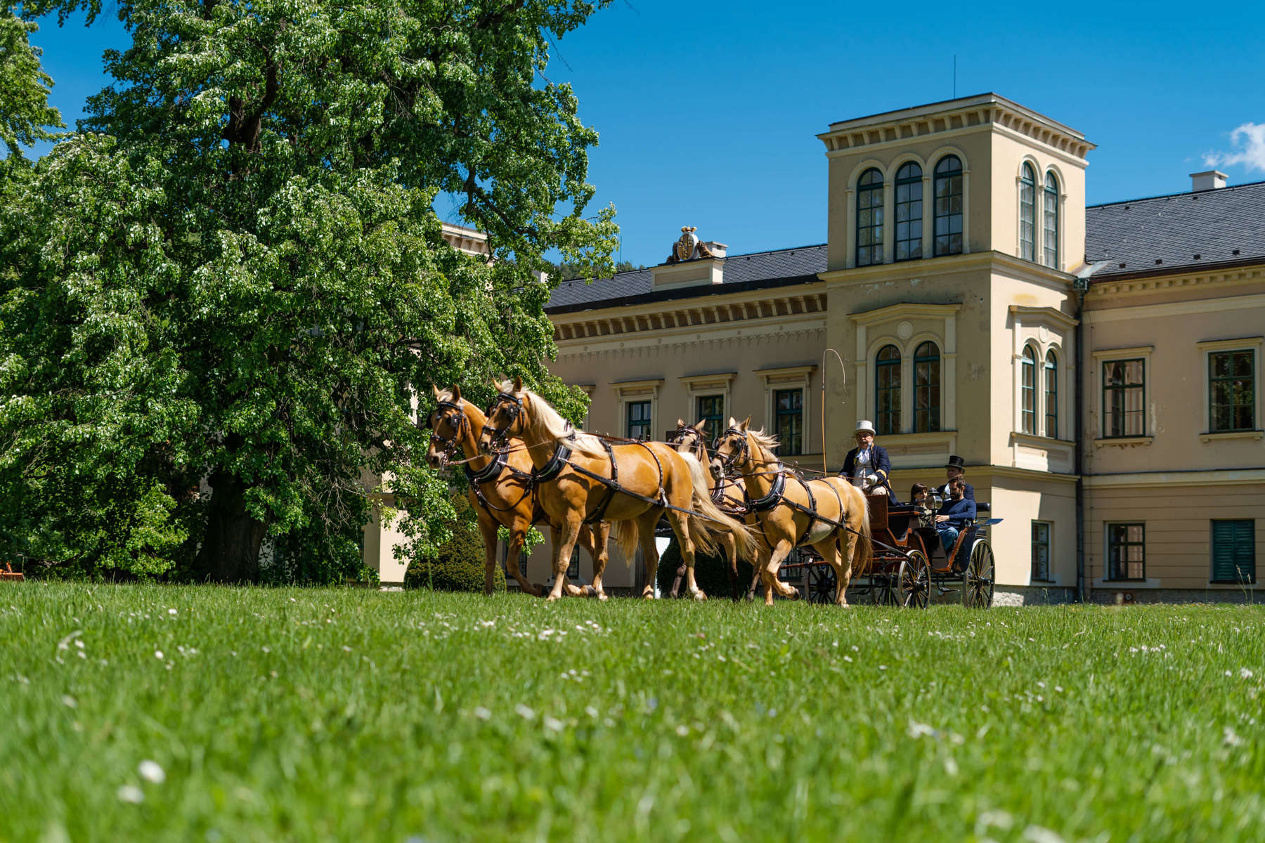 Image /media/roln4xfh/mb_zámek-čechy-pod-kosířem-08.jpg