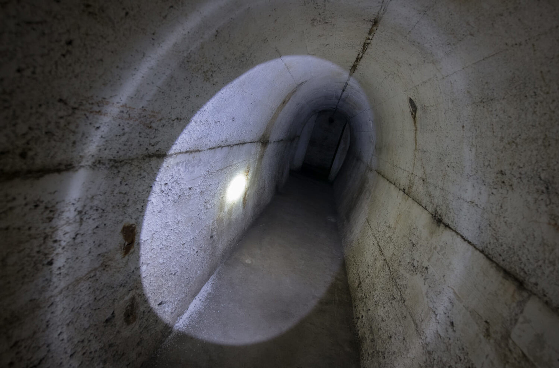 Image /media/rpvbw3vy/_dsc7786.jpg