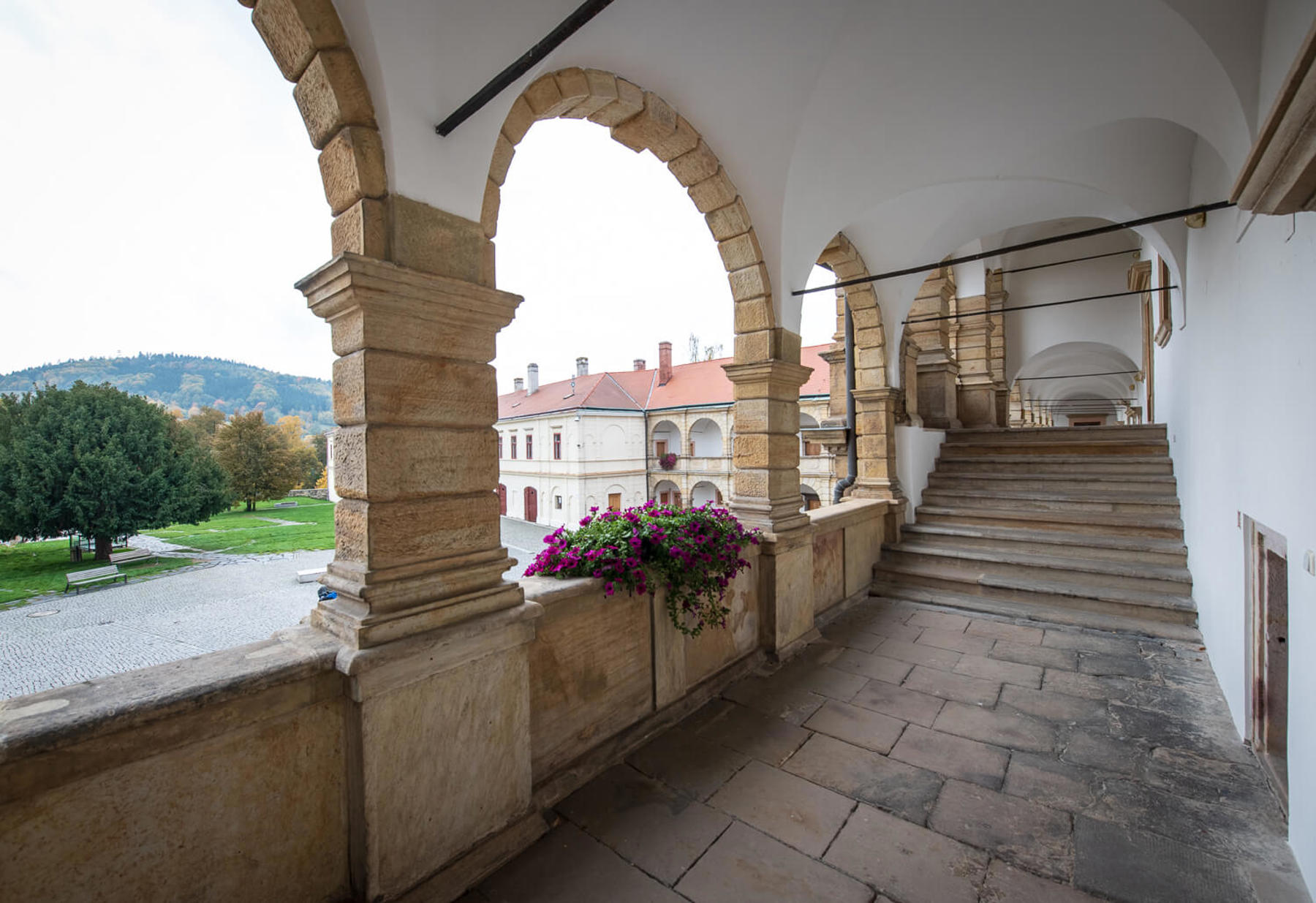 Obrázek /media/rtsdhxsf/_dsc3306.jpg