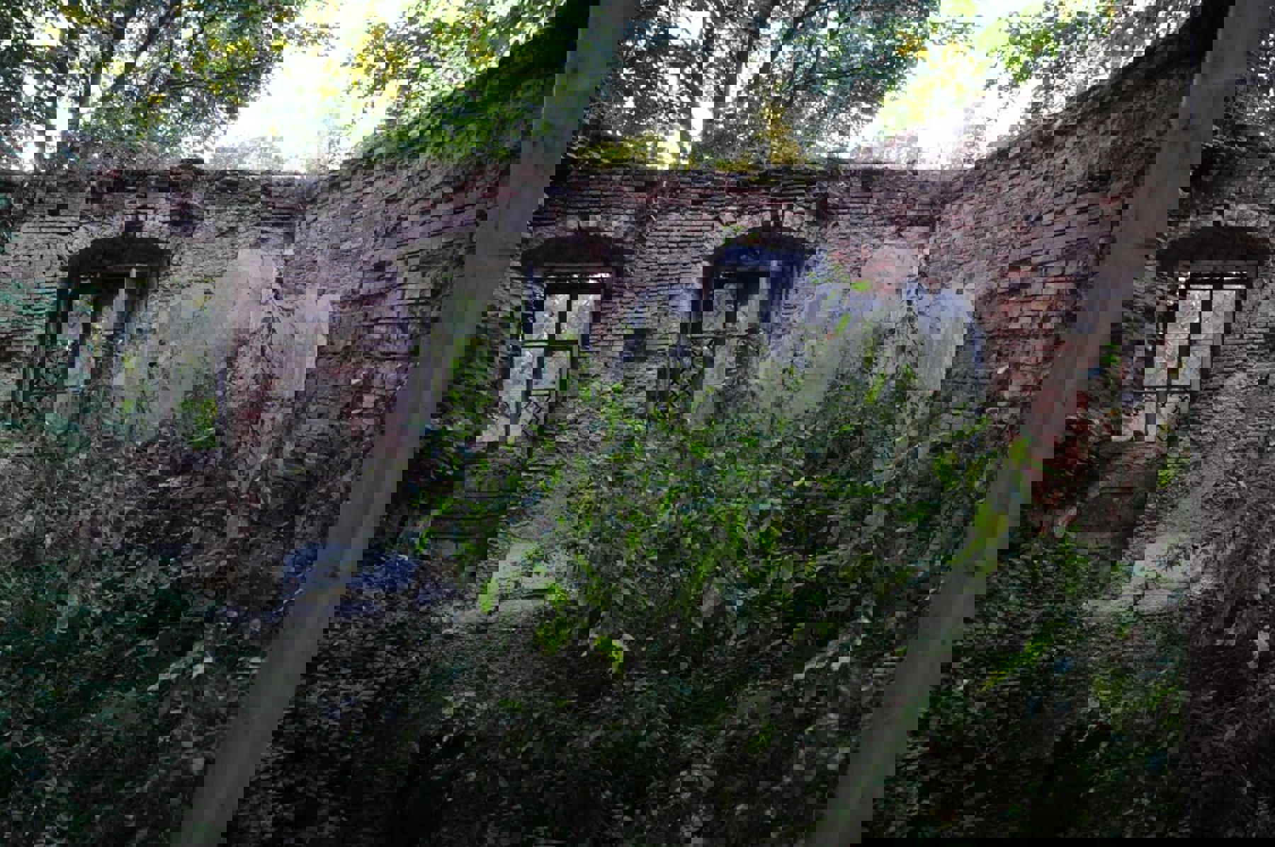 Image /media/ruaipqrx/dsc_9609.jpg