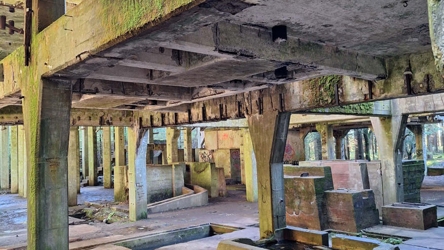 Ilustrační obrázek článku 'Sauersack'