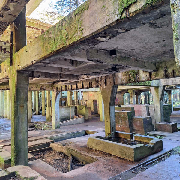 Obrázek /media/rznn0q2g/20241026_122002.jpg