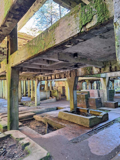 Obrázek /media/rznn0q2g/20241026_122002.jpg