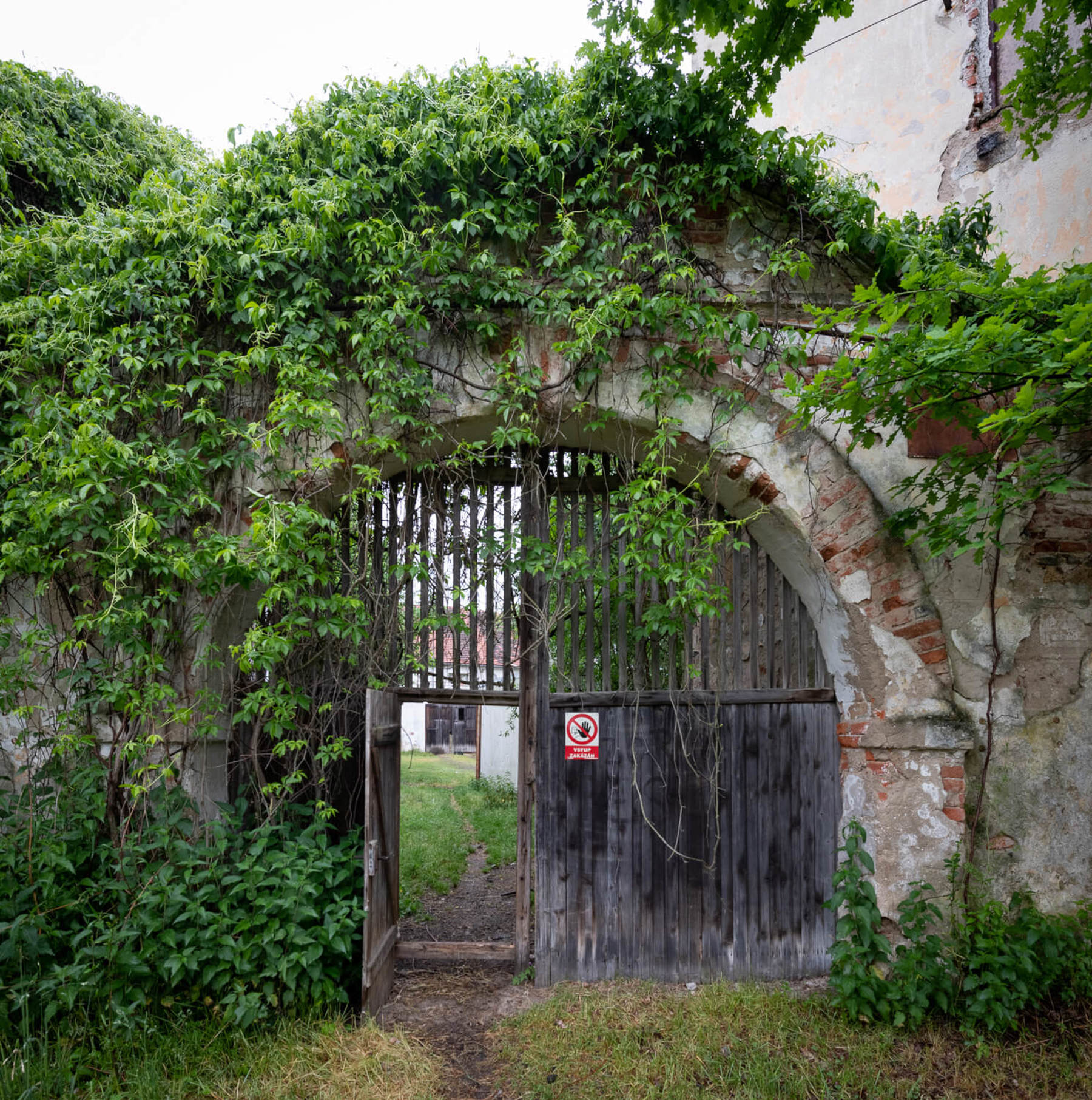 Image /media/s4ap4c2u/dsc0440.jpg