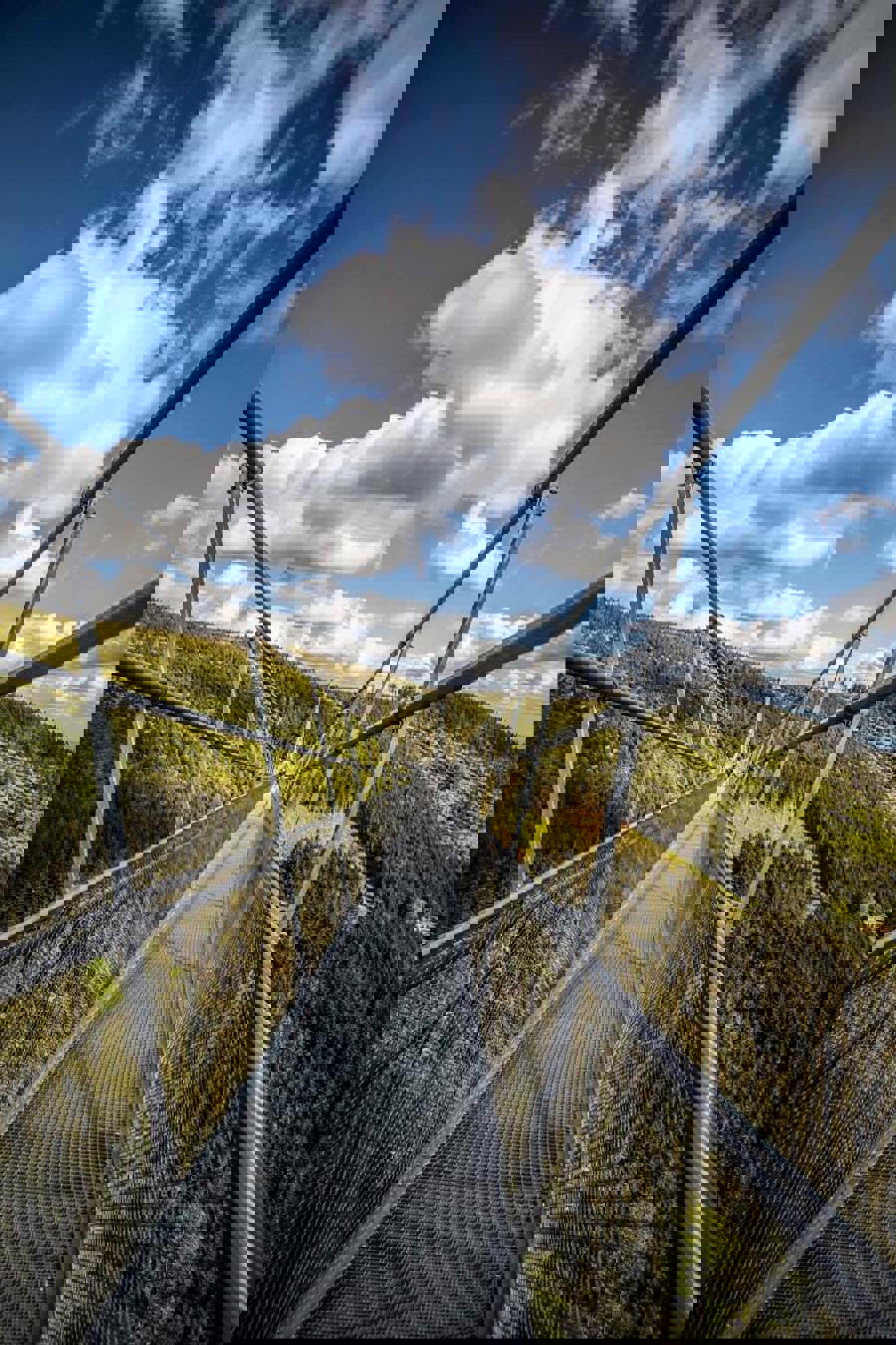 Image /media/s5xdiji5/sky_bridge_721_archiv_horsky_resort_dolni_morava__45_mala.jpg