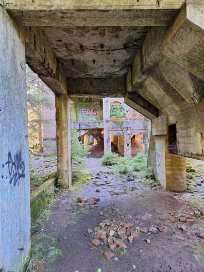 Obrázek /media/shgdhla5/20241026_121703.jpg