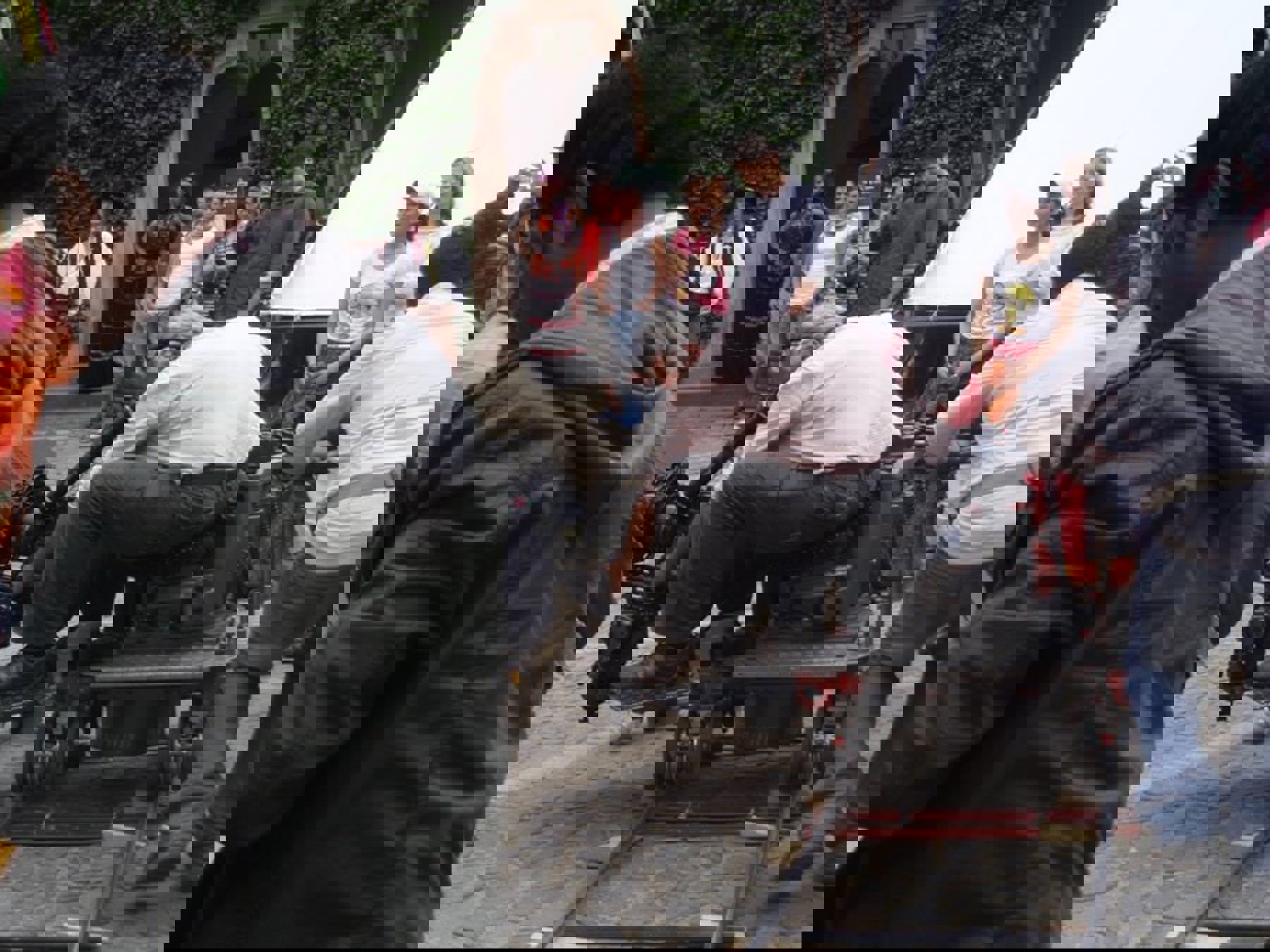 Image /media/snto20vi/p82601672.jpg