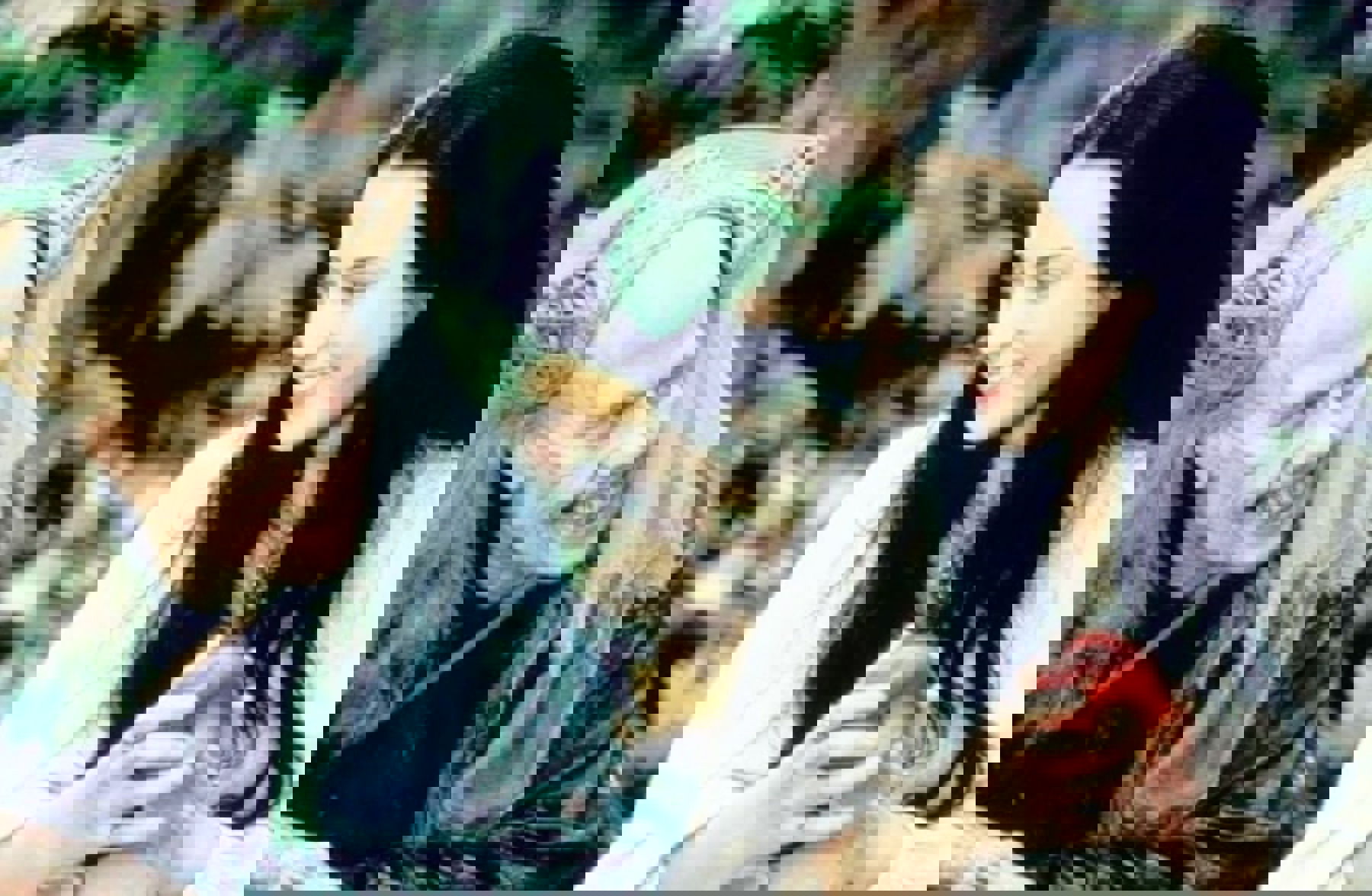 Image /media/sp0dw4a0/n1d54d25e28fc89327f5157e4d6c60d4.jpg