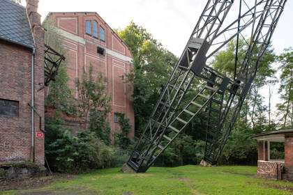 Image /media/sr0b1mxy/_dsc9632.jpg