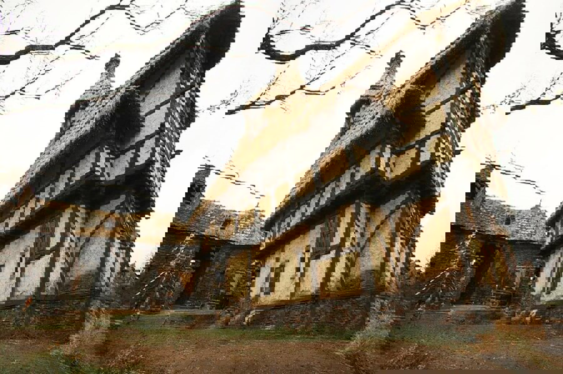 Obrázek /media/srjgmlqu/brothers-grimm-2003-e.jpg