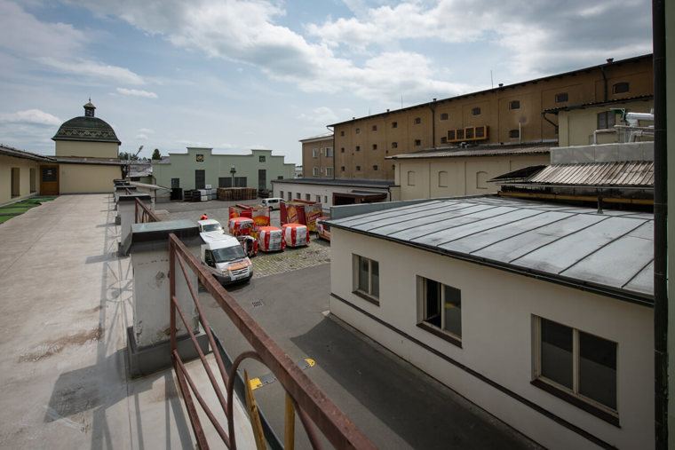 Obrázek /media/sw3kl4zs/_dsc7398.jpg