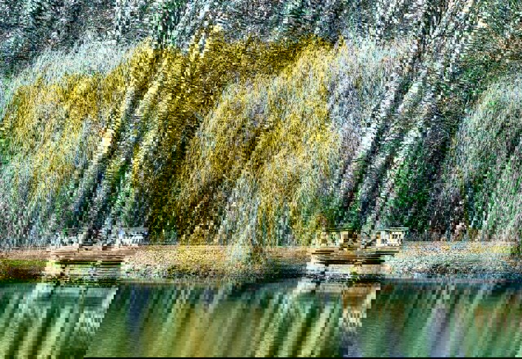 Obrázek /media/sx3alje2/jezirko_s_pristavistem2.jpg