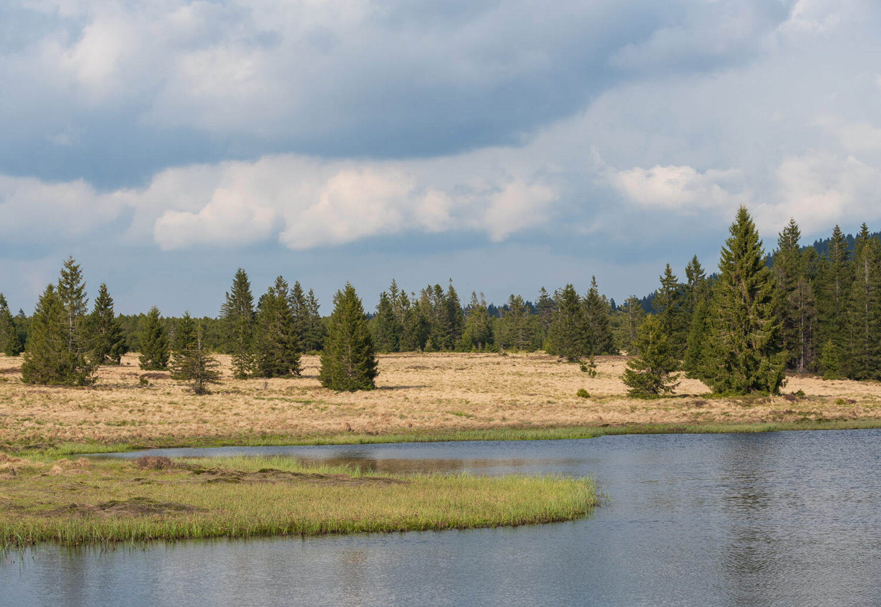 Image /media/sylhuiso/dsc8150.jpg