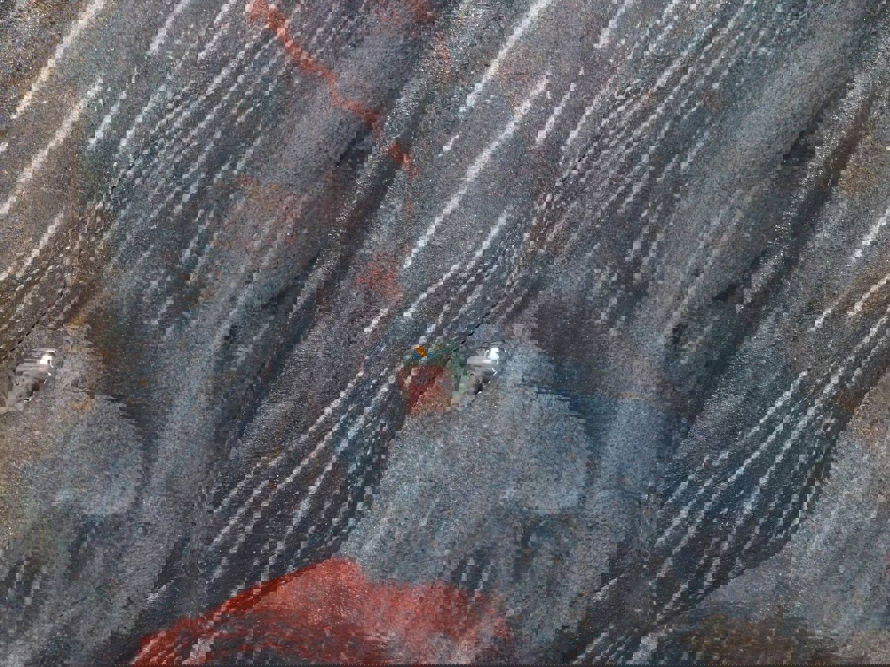 Obrázek /media/t4alxoql/40114340_1867200676691128_8328838268741222400_n.jpg