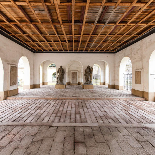 Image /media/tc4divbq/img_4407.jpg