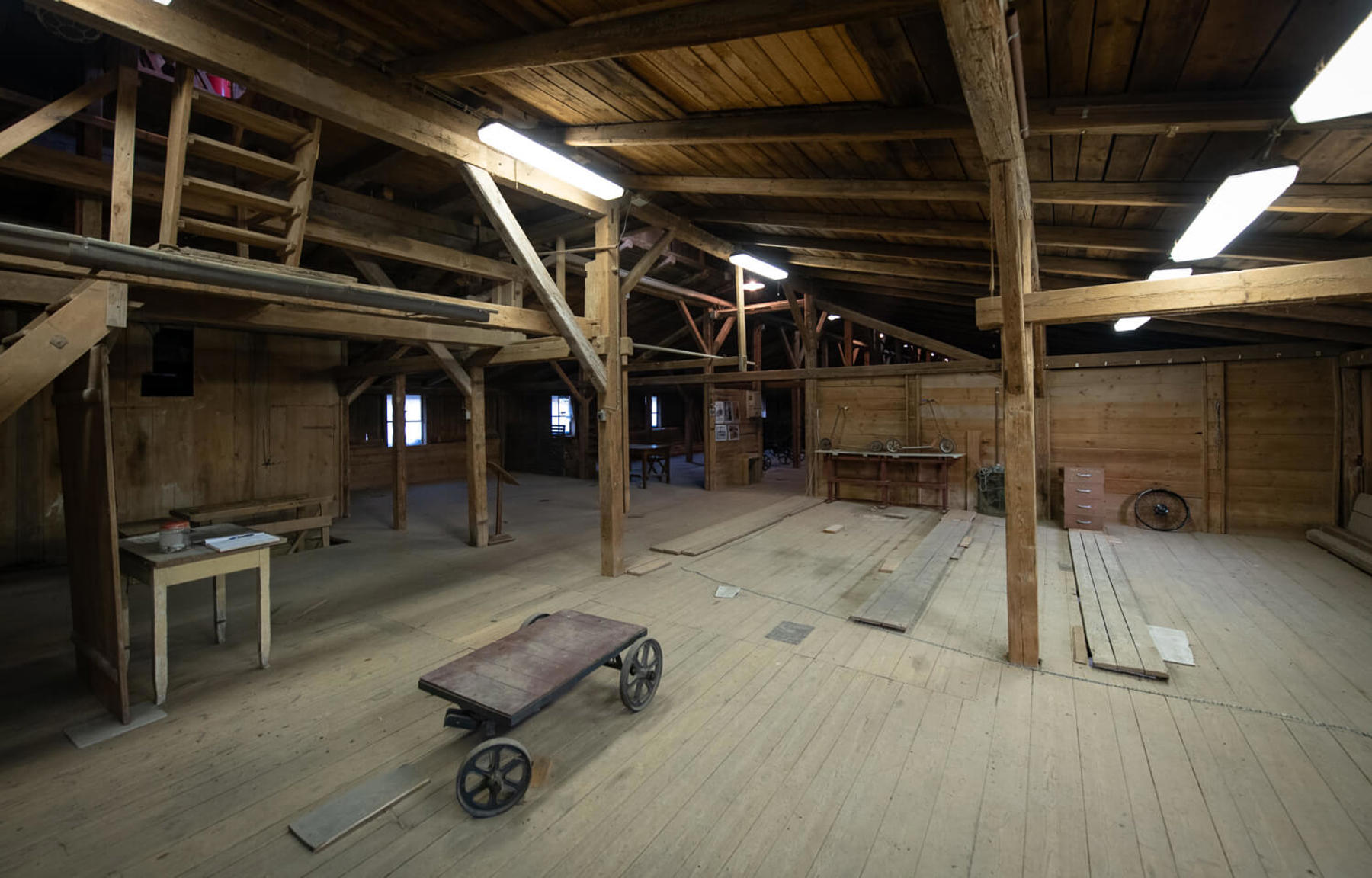 Image /media/tcspqsyz/_dsc0455.jpg