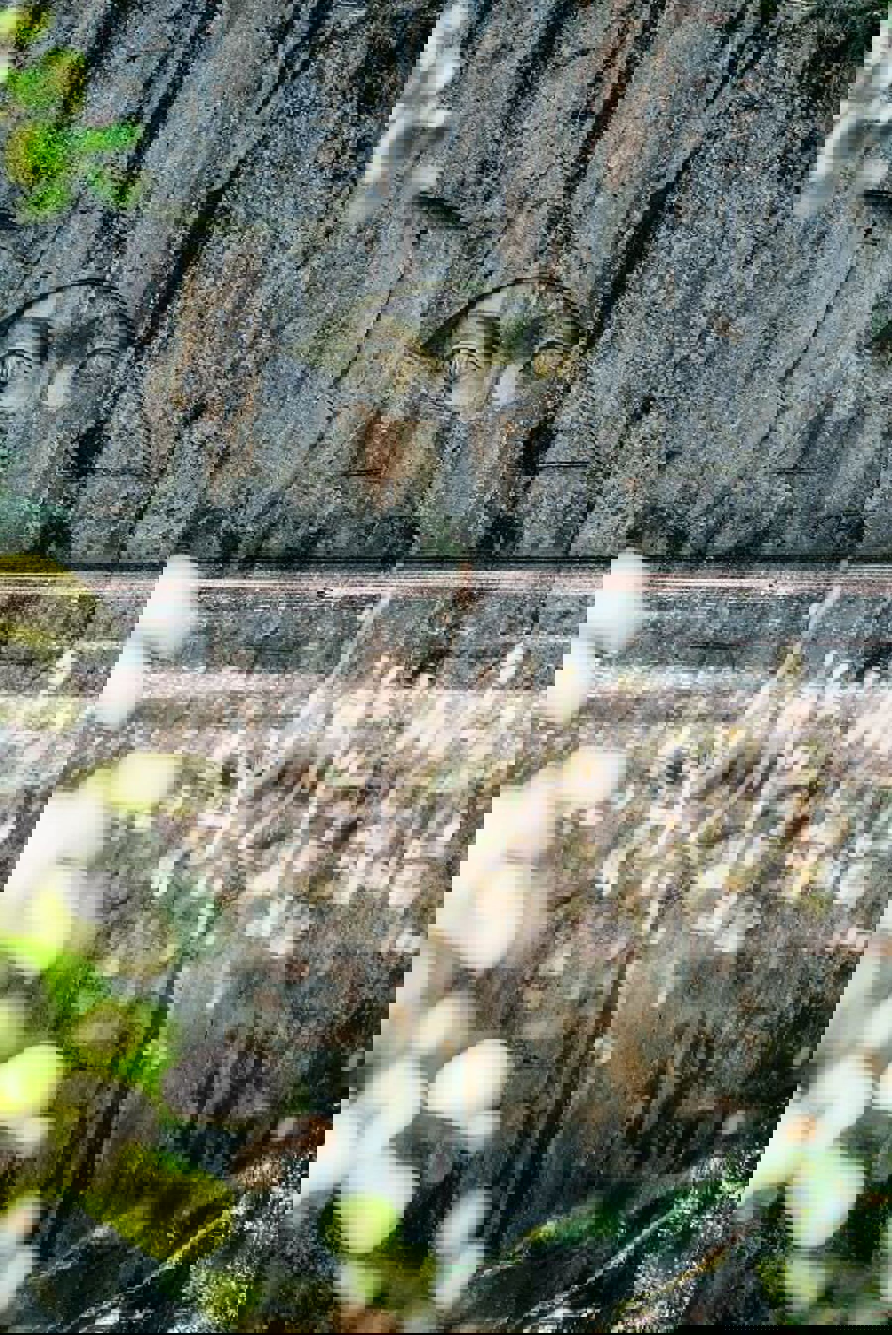 Image /media/tf0d0o14/dsc09196-edit.jpg