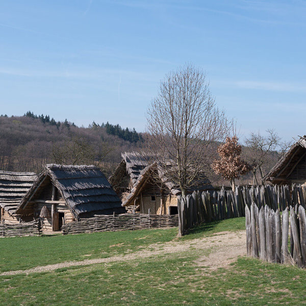 Image /media/tfvajwxa/dsc_3887.jpg