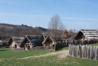 Image /media/tfvajwxa/dsc_3887.jpg