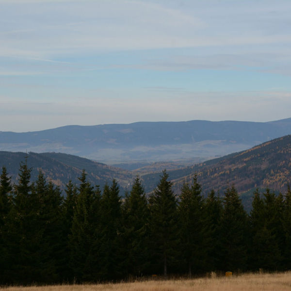 Image /media/tgmjaow3/dsc_7686.jpg
