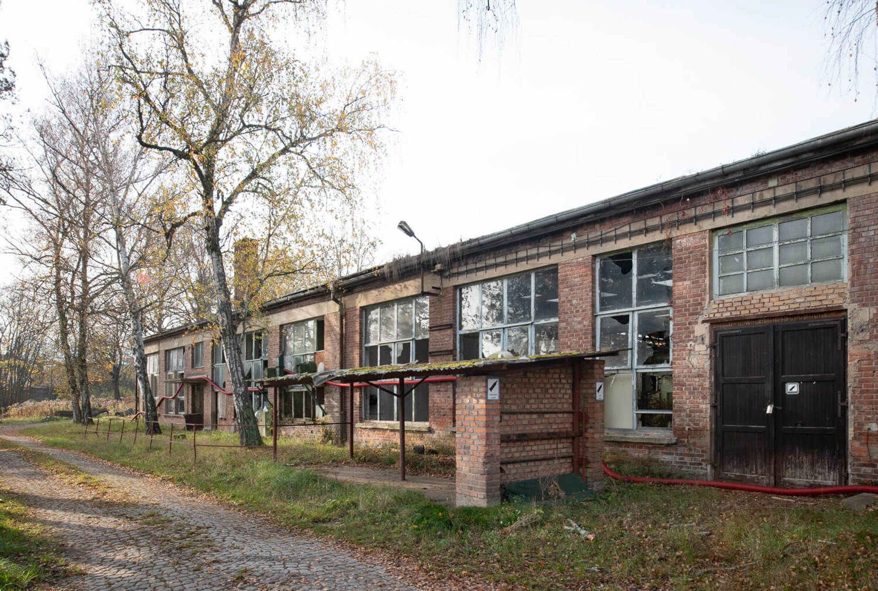 Image /media/tjeizf0f/_dsc0706.jpg