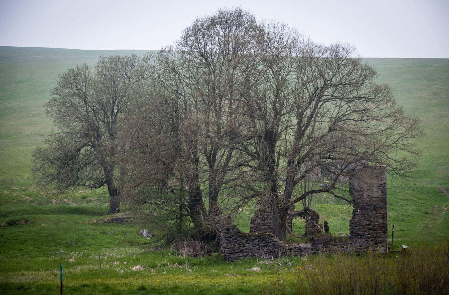 Image /media/tk4bzw4v/dsc8420.jpg