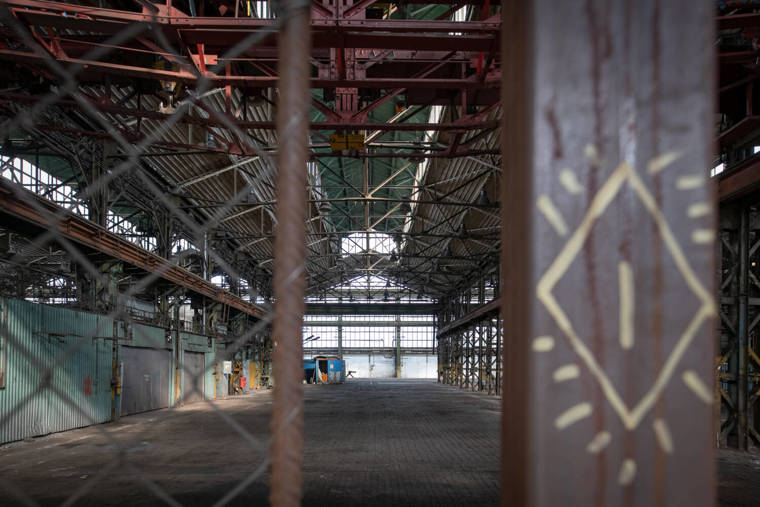 Image /media/tmifzujs/_dsc9677.jpg