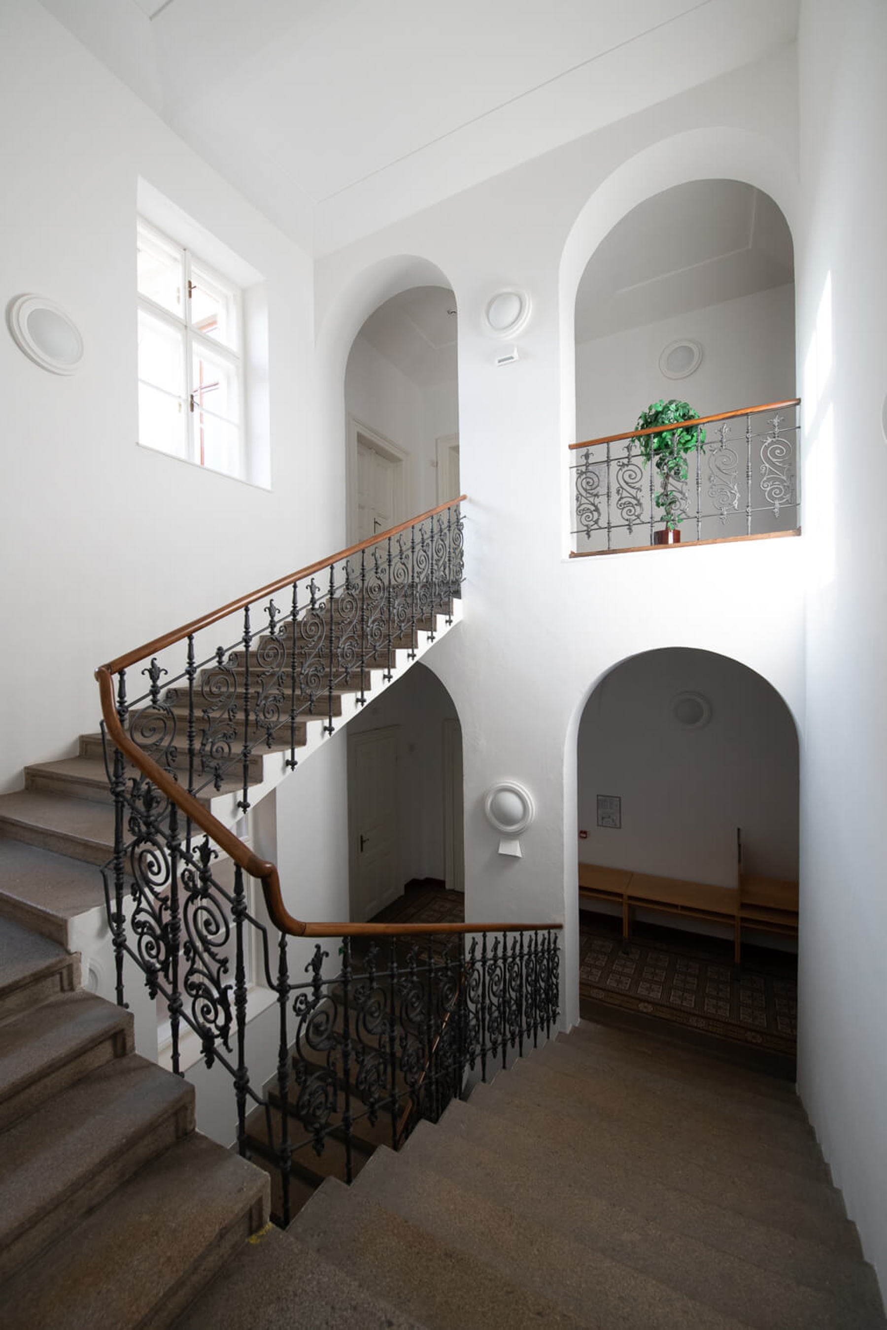 Obrázek /media/tozjo2yk/dsc3368.jpg