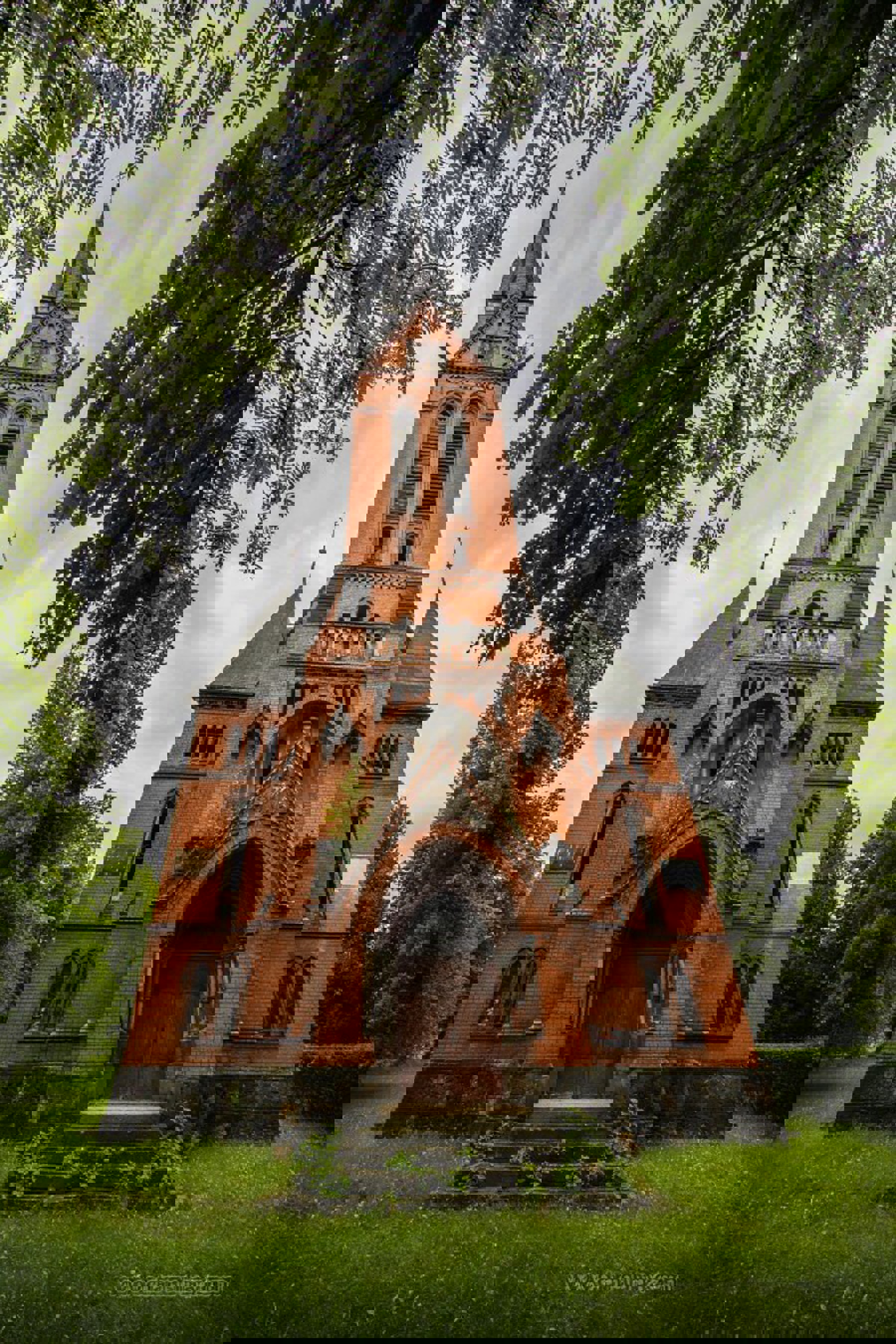 Image /media/tptpoxw1/5m9a1763.jpg