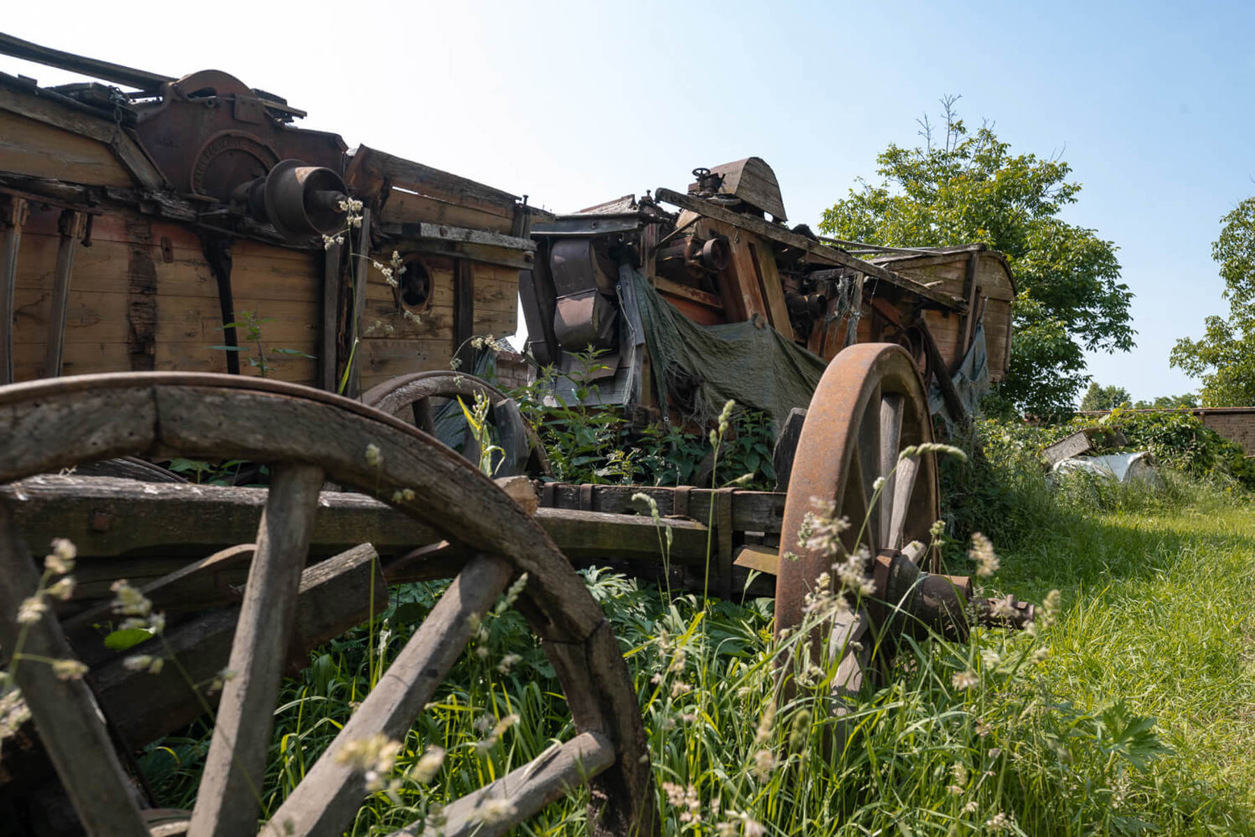 Image /media/trcfpttq/_dsc7258.jpg