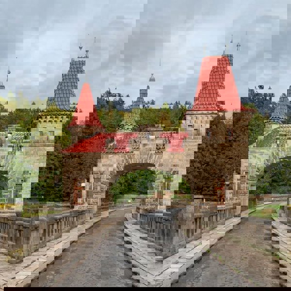 Image /media/txtcxa5u/les_kralovstvi_5.jpg