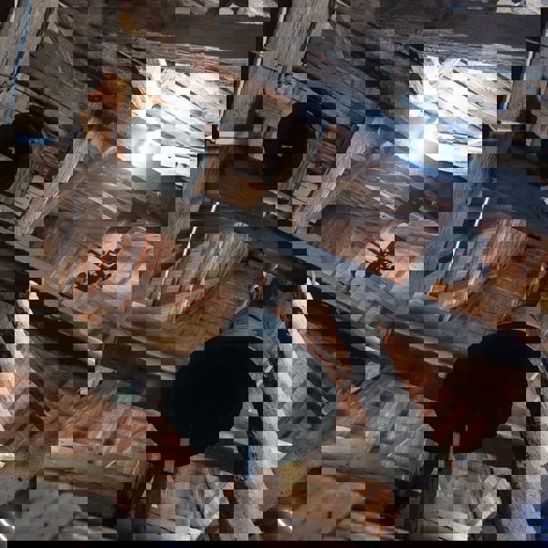 Image /media/u0waxmma/choteborky_5.jpg