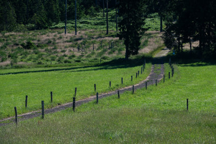 Obrázek /media/u22pxhou/_dsc2879.jpg