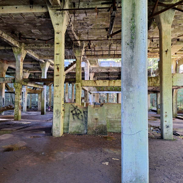 Obrázek /media/u5edcuux/20241026_122227.jpg